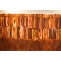 Mineração, desastres, formação crítica: casos no Brasil e no Canadá.