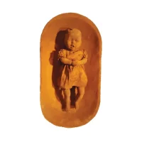 A solução concertada aplicada ao caso Samarco: análise do desastre de Mariana à luz do Direito Econômico.