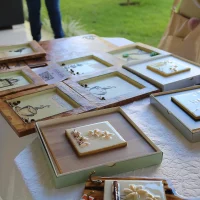 Fórum Conexões FOL – 31-08-2024