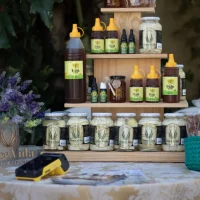 Fórum Conexões FOL – 14-09-2024