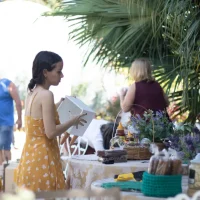 Fórum Conexões FOL – 14-09-2024