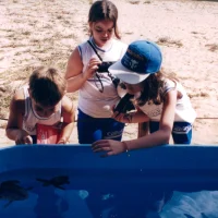 Tanques com filhotes de tartarugas marinhas