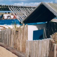 Tanques de Tartarugas Marinhas