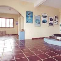 Stand do Projeto TAMAR