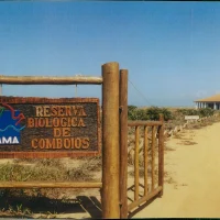 Reserva Biológica de Comboios em Regência