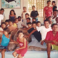 Animais empalhados – Tartaruga Gigante