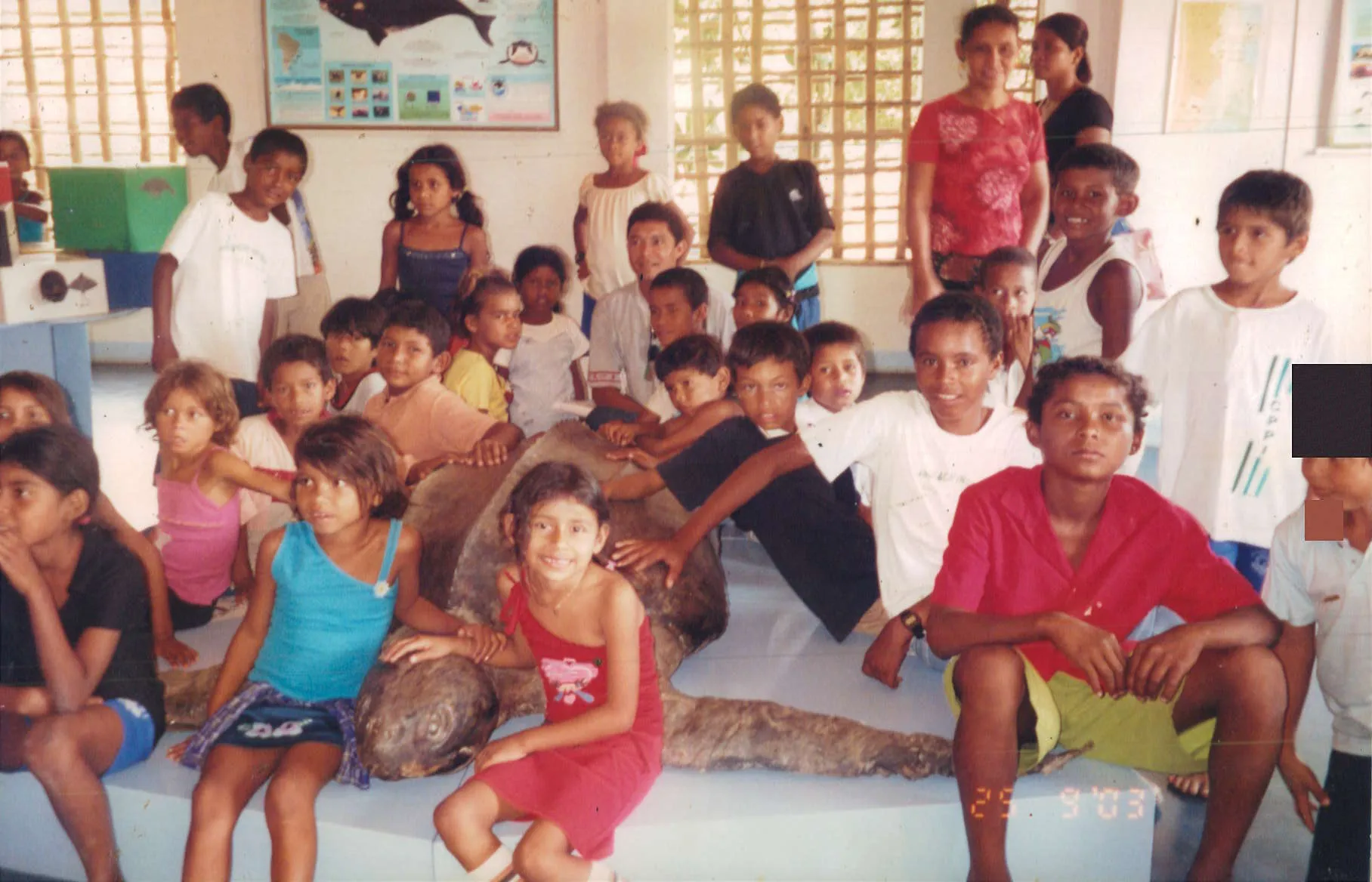 Animais empalhados – Tartaruga Gigante