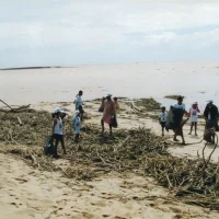 Projeto Verão Legal em Regência