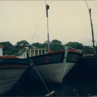 Barco de Pesca