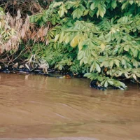 Rio Doce em Regência
