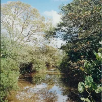 Rio Doce em Regência – braço do rio