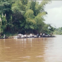 Rio Docem Regência – extravasamento de óleo