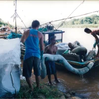 Rio Docem Regência – extravasamento de óleo