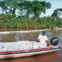 Derramamento de óleo no Rio Doce em Regência