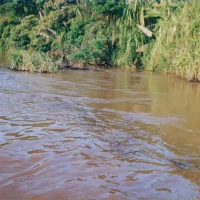 Rio Doce em Regência – Derramamento de óleo.