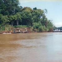 Pescadores – ação no derramamento do óleo