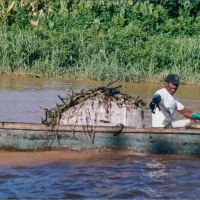 Derramamento de óleo