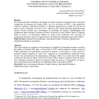 DANOS TANGÍVEIS E INTANGÍVEIS NO ROMPIMENTO  DA BARRAGEM DO FUNDÃO (MARIANA/MG):  Sob a ótica da multifuncionalidade da Agricultura