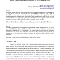 Desastres de Mariana e Brumadinho: o que aprendemos ou deixamos de aprender?