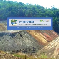 Emergência de espécies florestais sobre rejeito da mineração na bacia do rio Doce