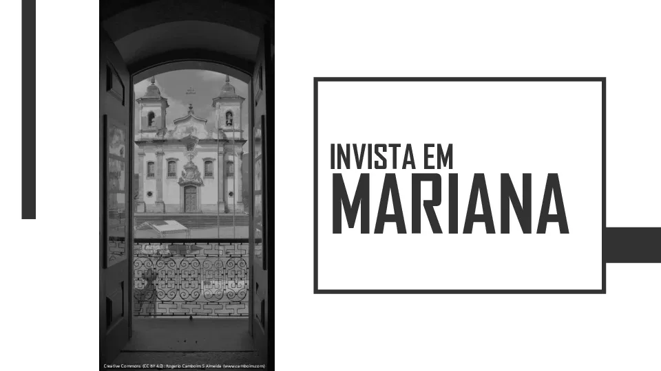 Inteligência de mercados para Mariana – Entrega 4 – PROPOSTA DE VALOR