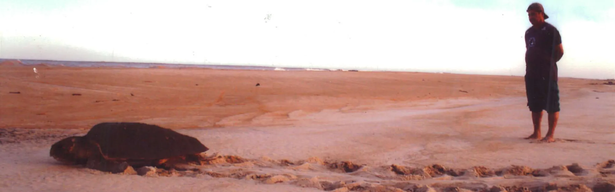 Acervo Fotográfico Centro Ecológico De Regência