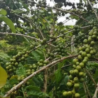 Vídeo Pílulas – Monocromático