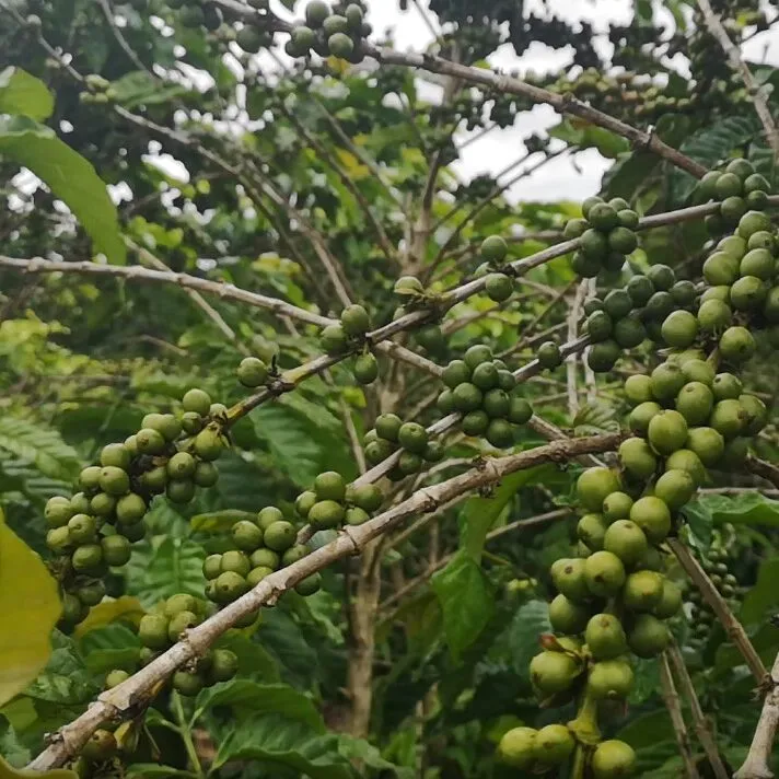 Vídeo Pílulas – Monocromático