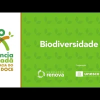 Projeto Ciência Cidadã na Bacia do Rio Doce: impulsionando a paz e a sustentabilidade